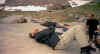 Muverans2004 (19).JPG (65998 octets)