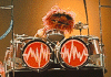drumsAnimal.gif (31168 octets)
